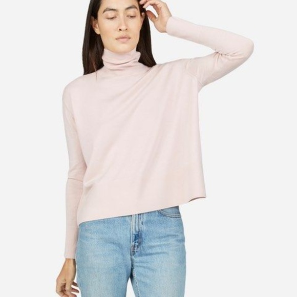 Everlane Sweaters - Everlane Light Pink Turtleneck Luxe Wool